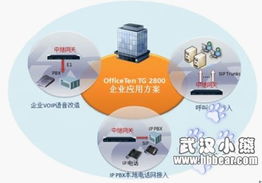 网经科技湖北省新产品发布会圆满落幕，引领网络科技新浪潮